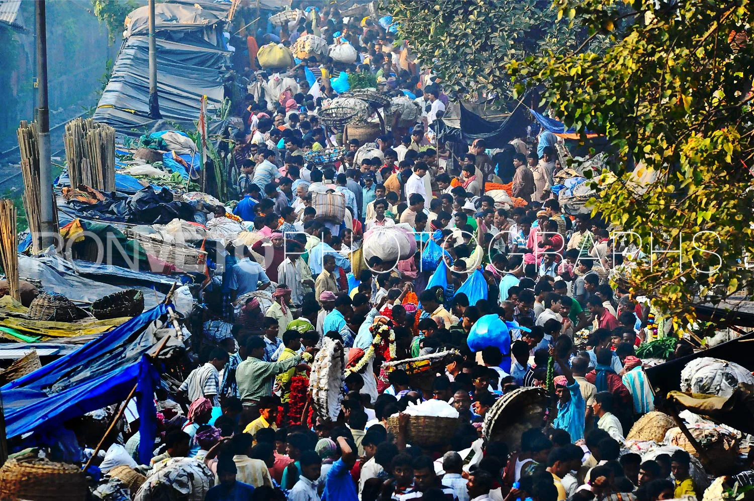 Humans, India