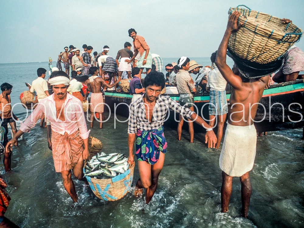 The Catch, Southern India