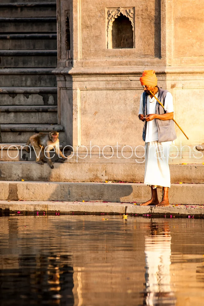 Guru and his Monkey, Vrindavan, India