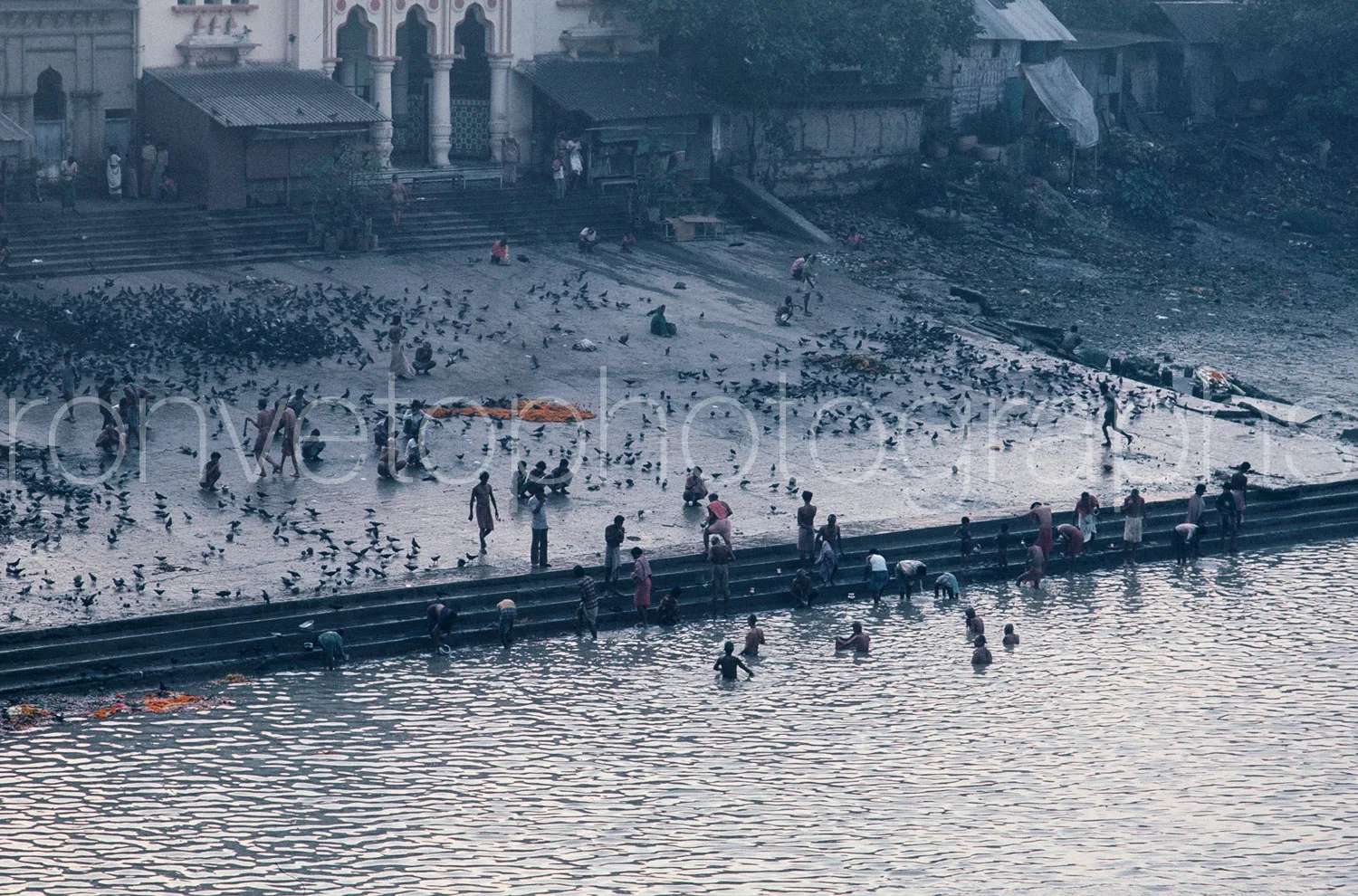 Pray and bath, Calcutta, India