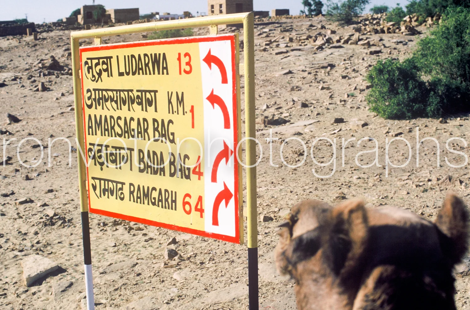 Which way do we go? West Indian desert, India