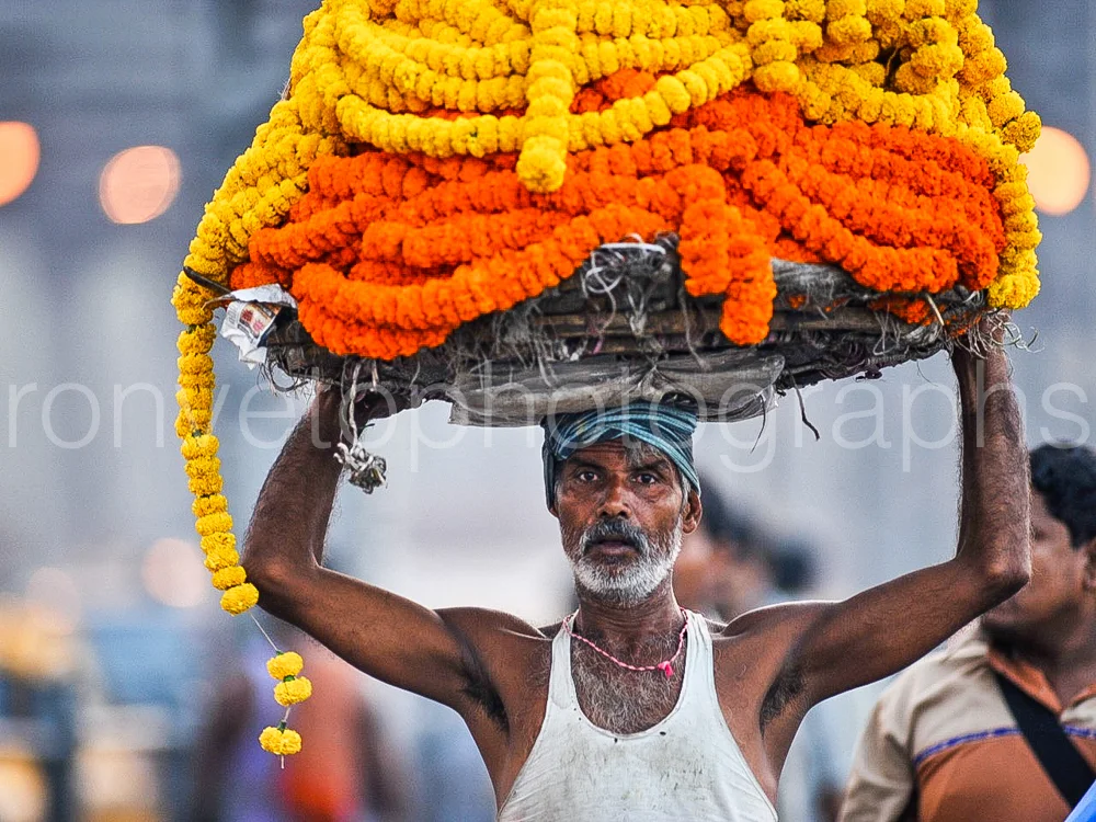 Flower delivery man, Calcutta, India