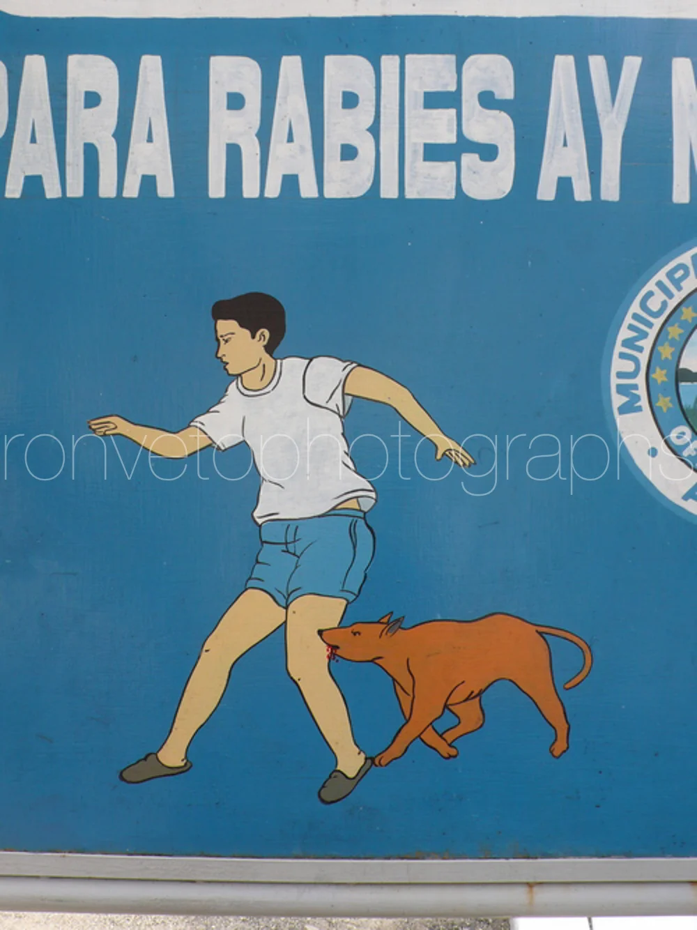 Rabies