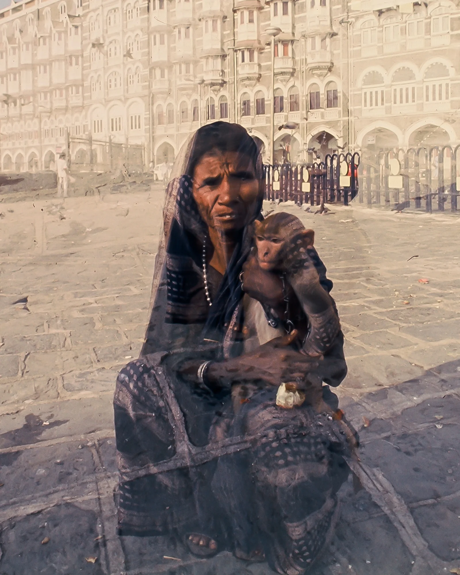 Bombay Monkey and Woman