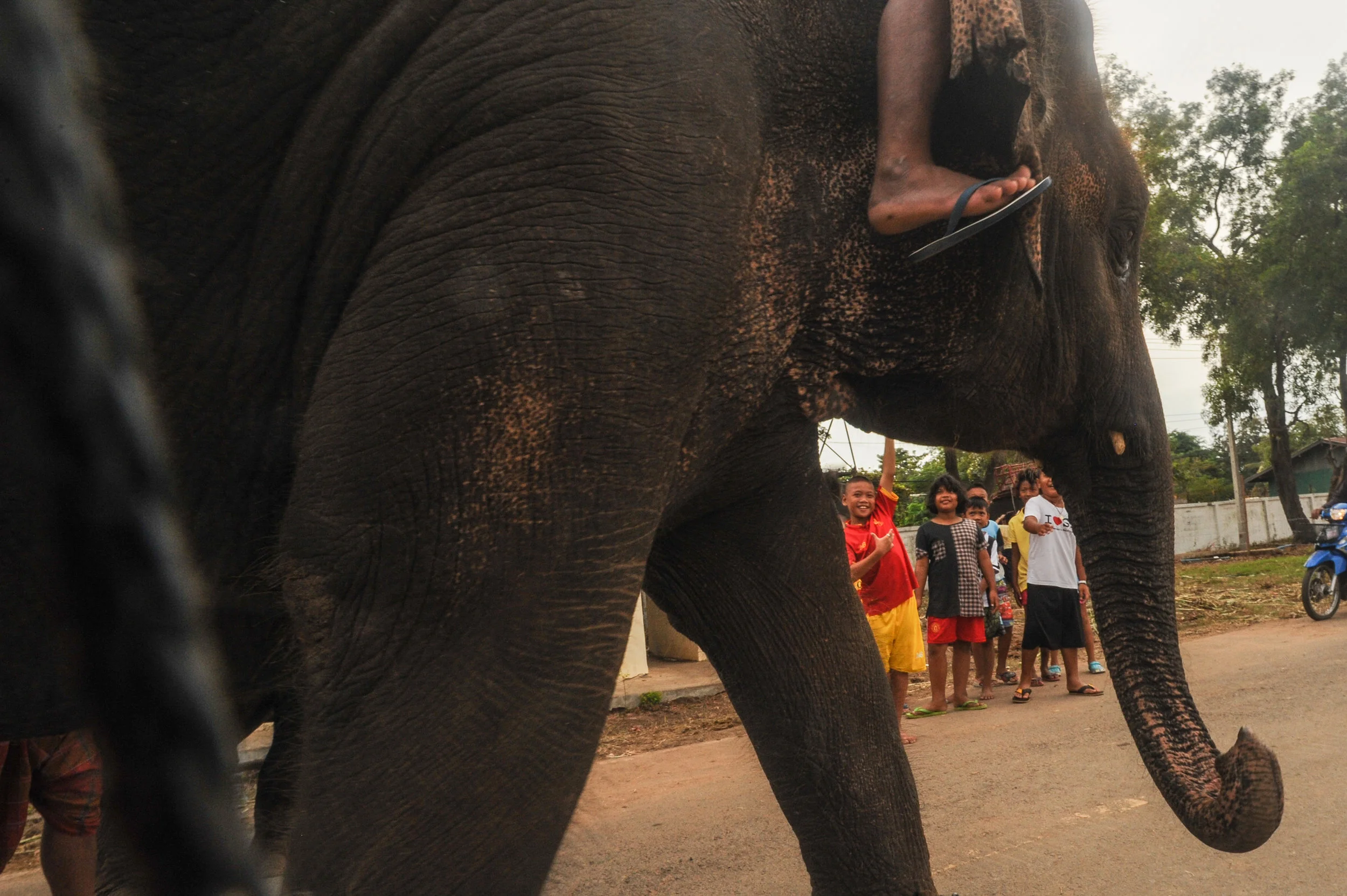 elephant and kids3 2017_.jpg