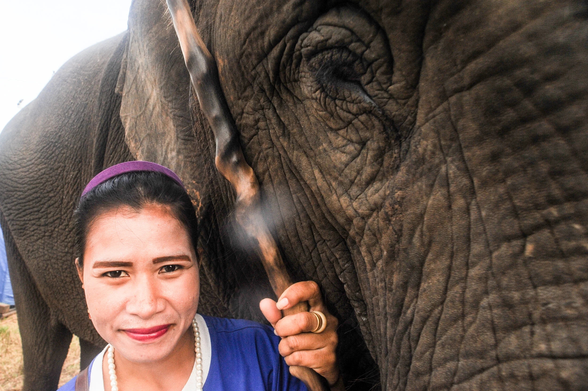 elephant and woman trainer 2017_.jpg