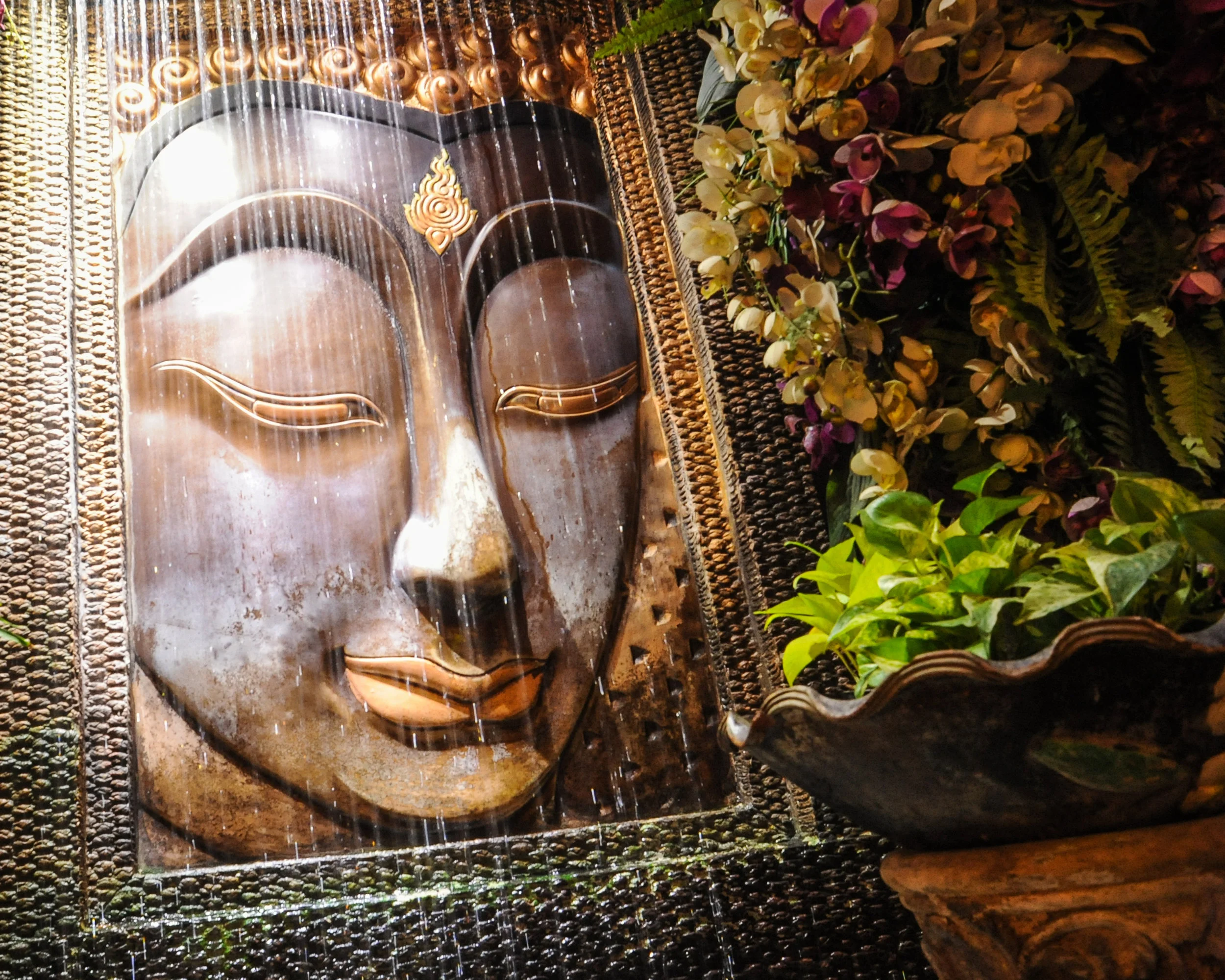 buddha horizontal 8x10 water.jpg