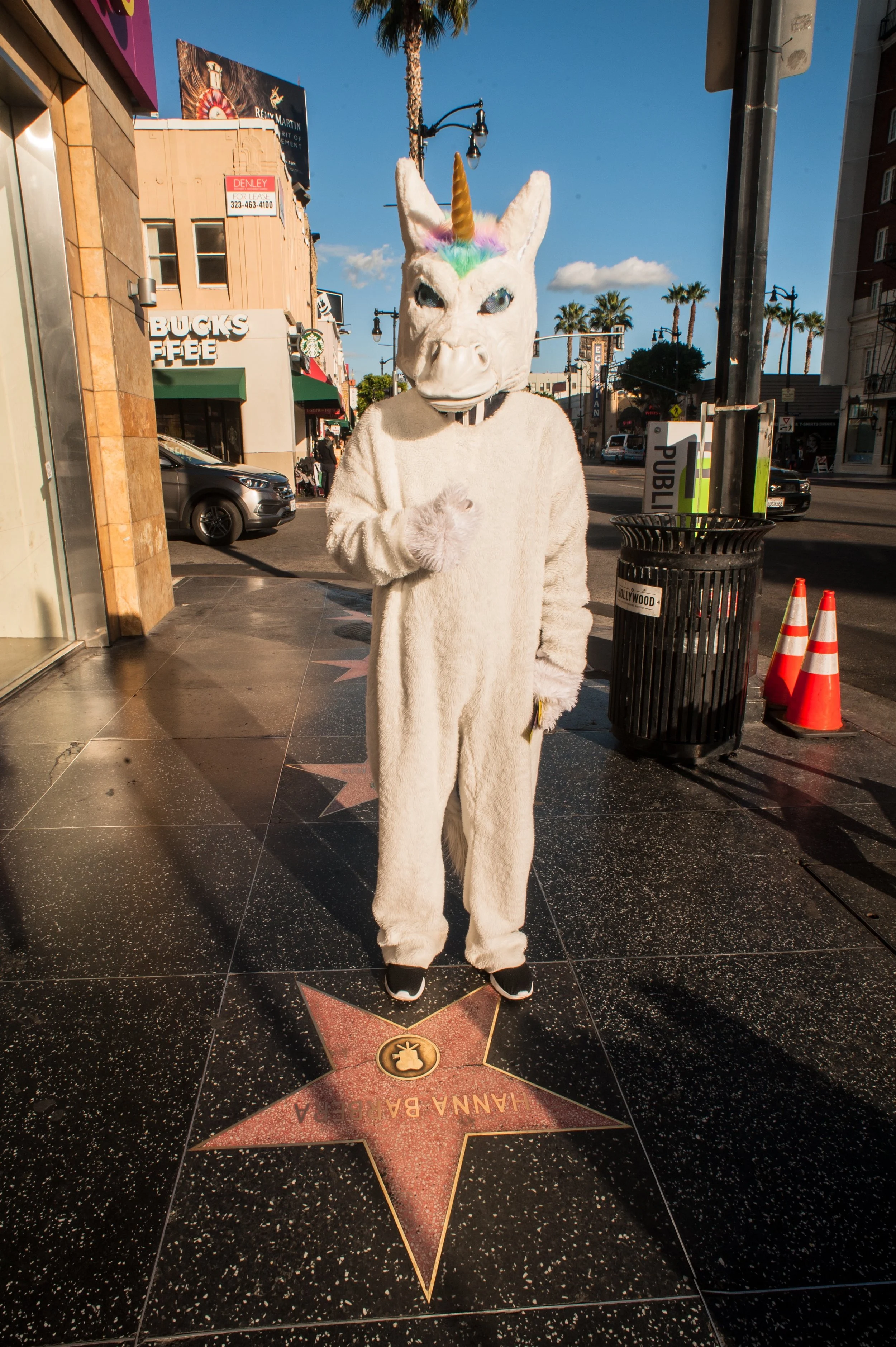 hollywood 2-18-3.jpg