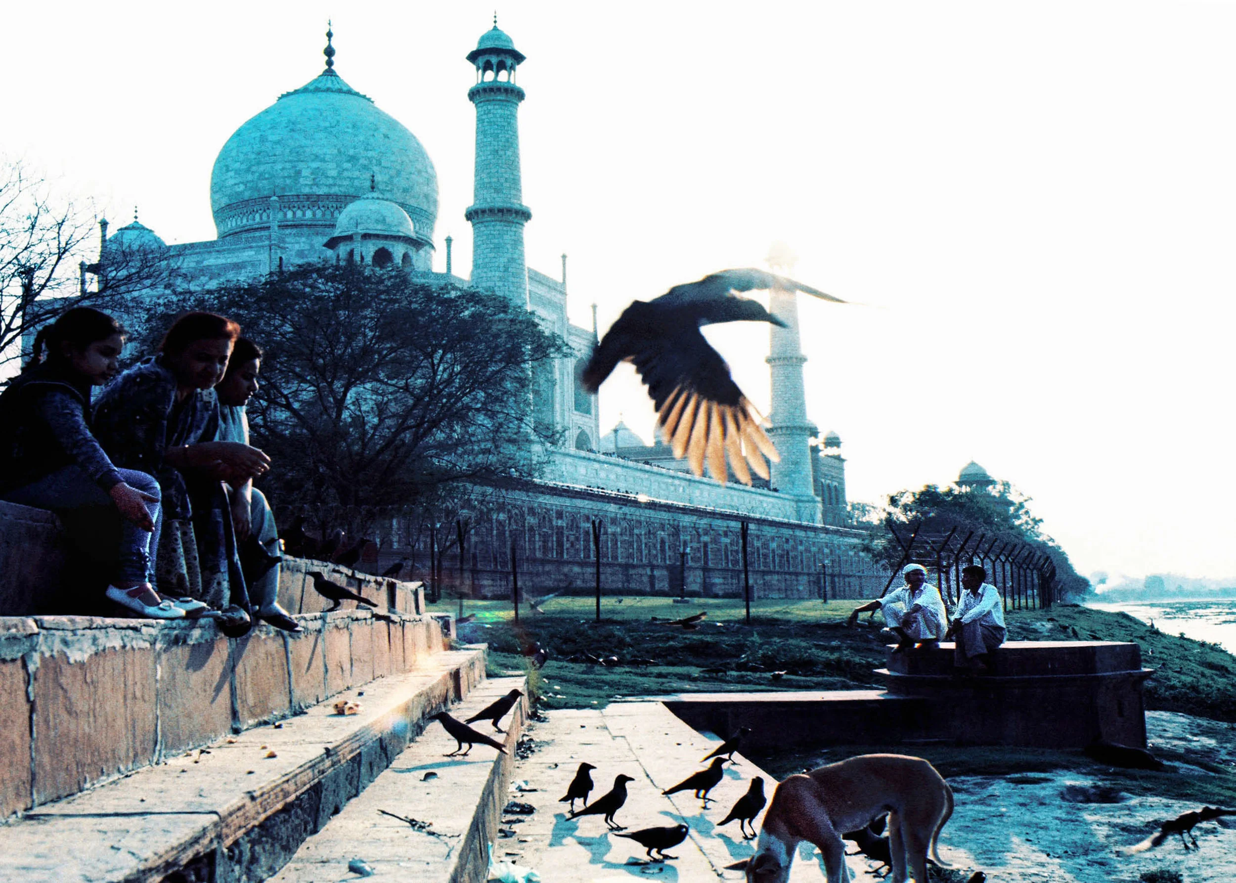 The Taj