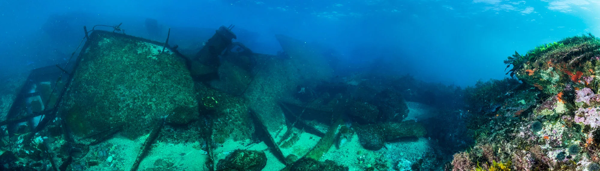 astrolabe-reef-update.jpg