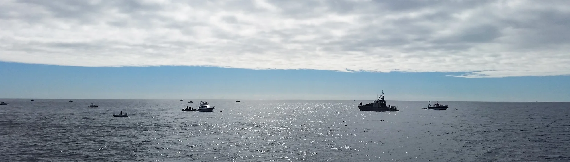 Community Trust header.jpg