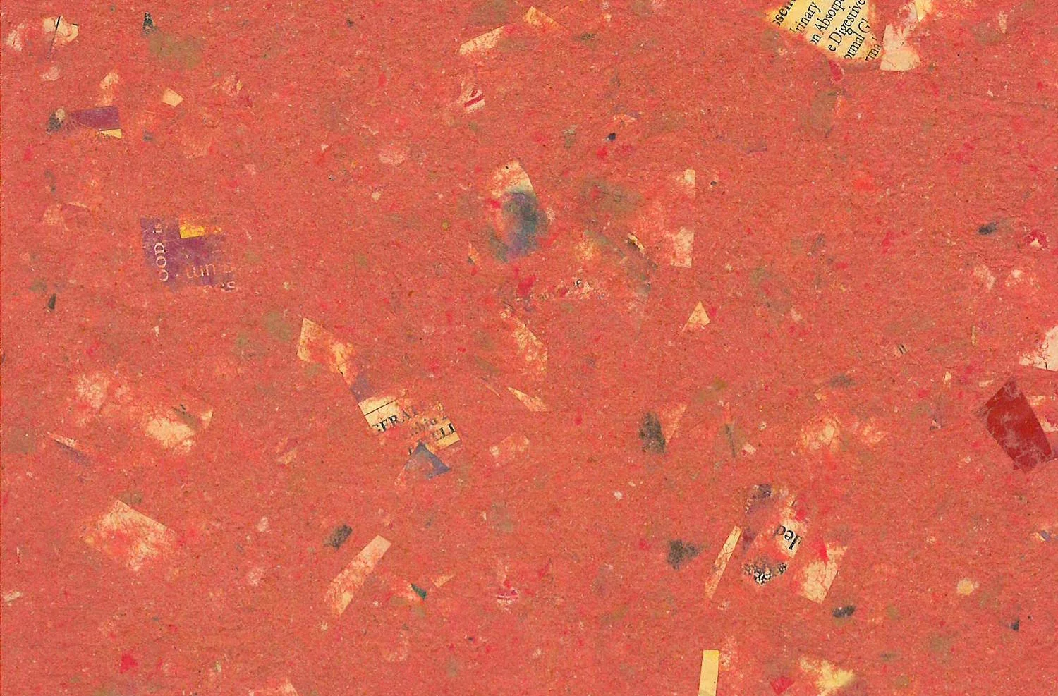 thick rose paper.JPG