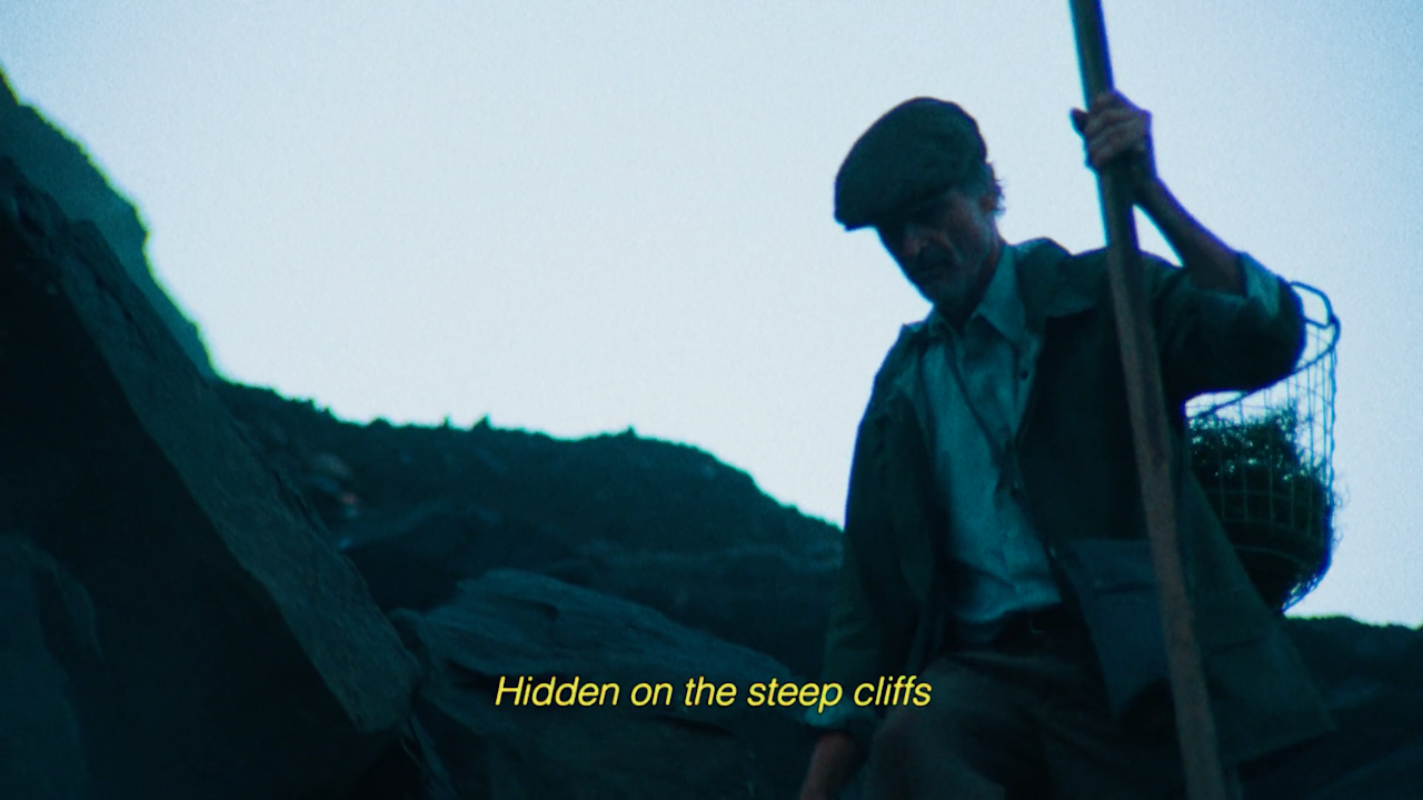 Screenshot 2017-08-22 19.27.31.png