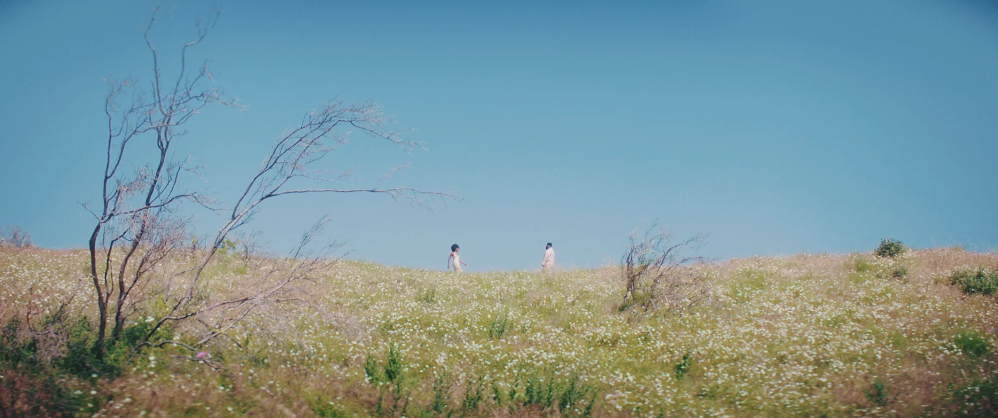 OFFICIAL MUSIC VIDEO.00_01_16_00.Still020.jpg
