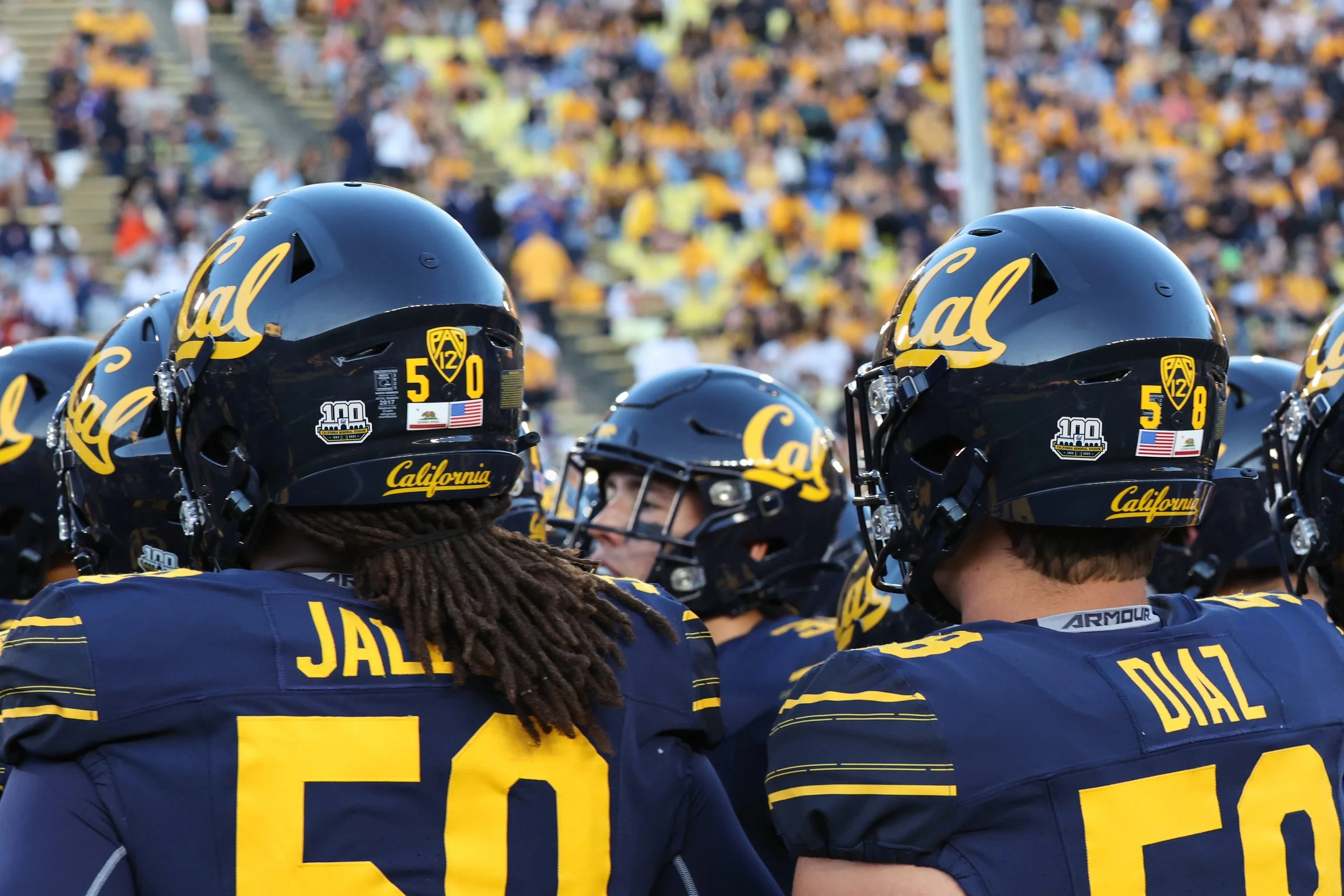 University of California football players in navy blue and yellow uniforms and helmets, standing on the field during a game with spectators in the background.
