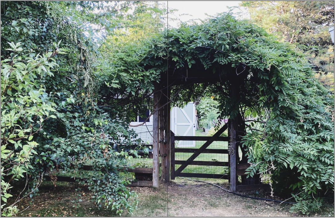 Screen Shot 2021-06-09 at 11.51.00 AM.png