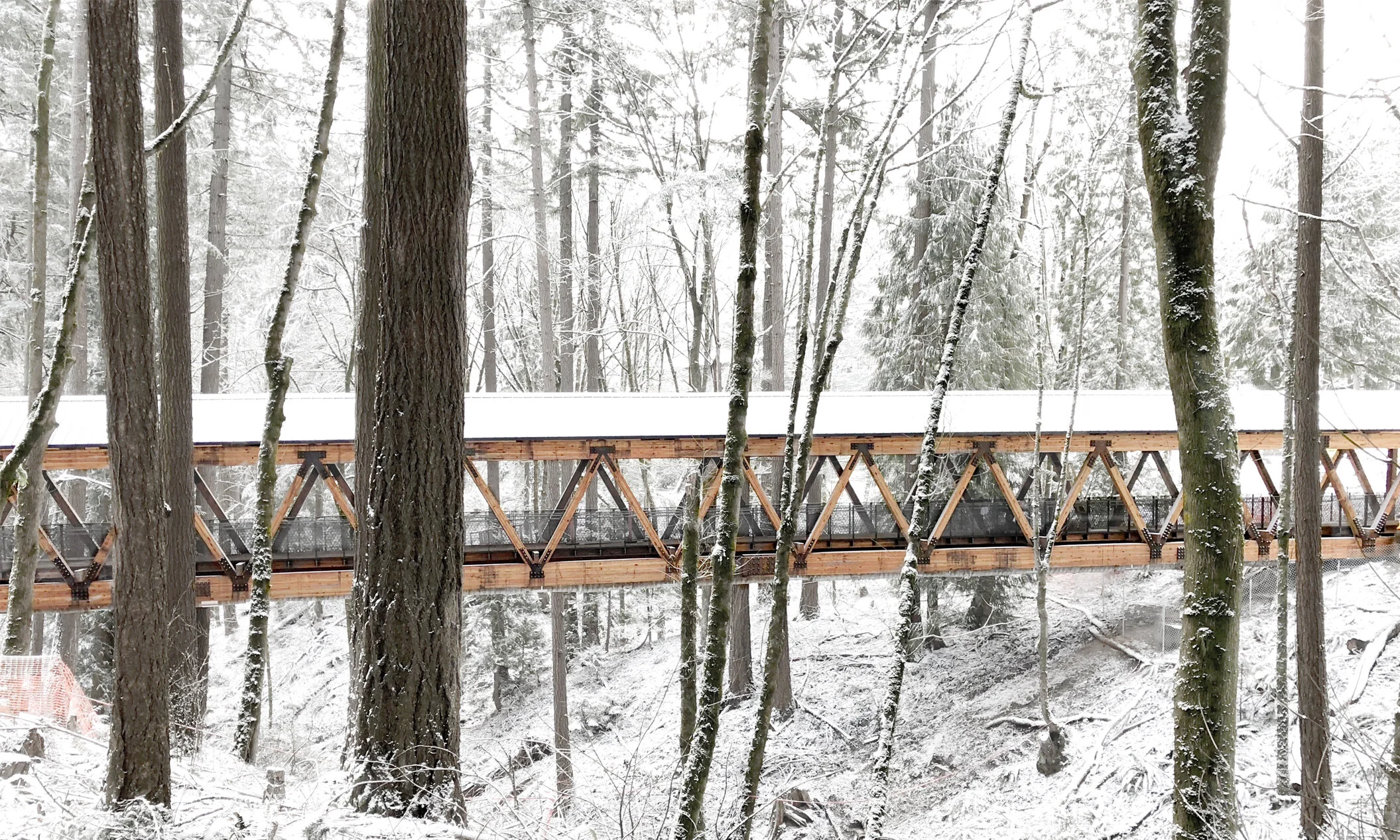 minarik_Bridge - 1.jpg