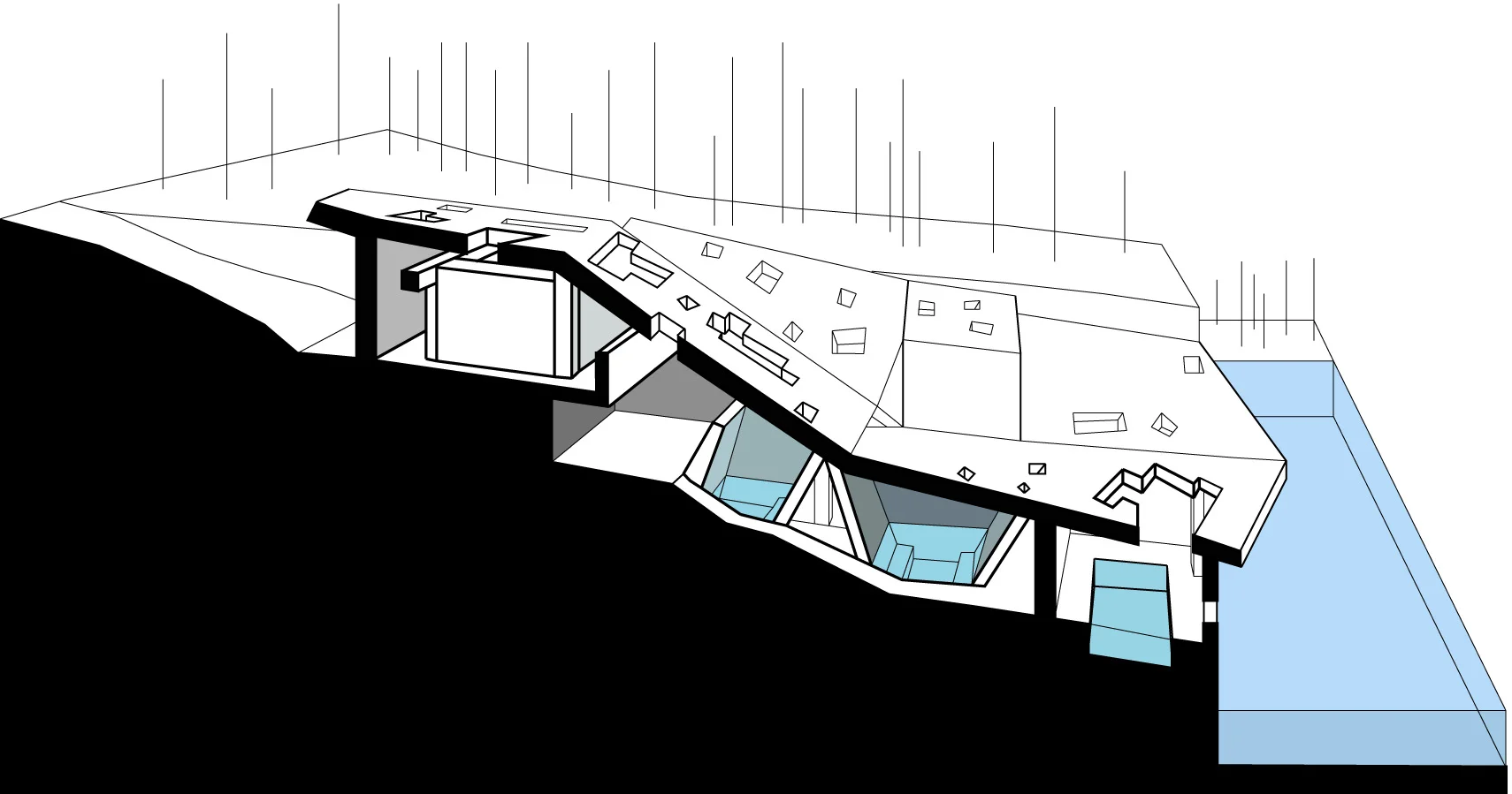 spasectionmid2 copy.jpg