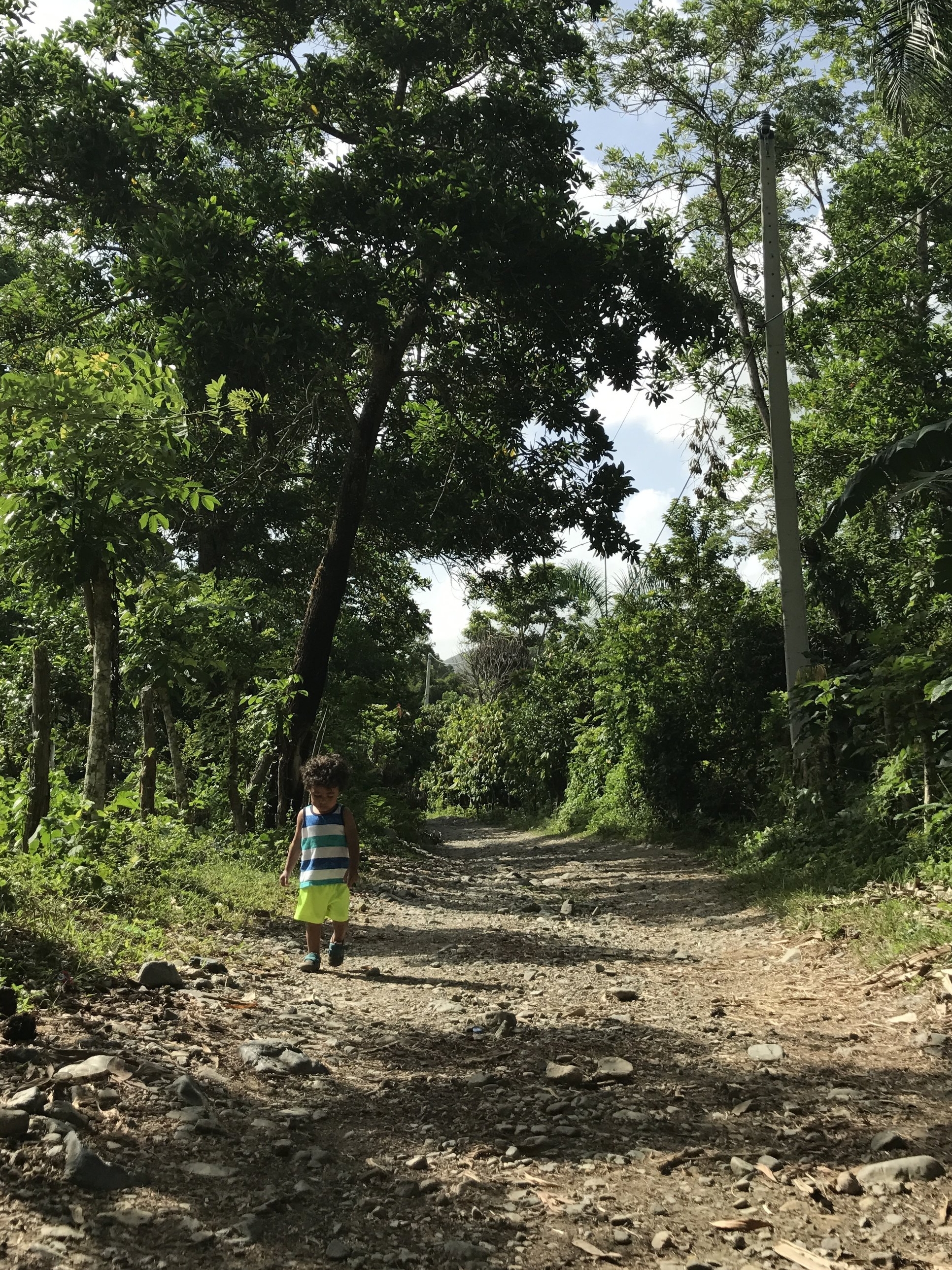 let child choose path.jpg