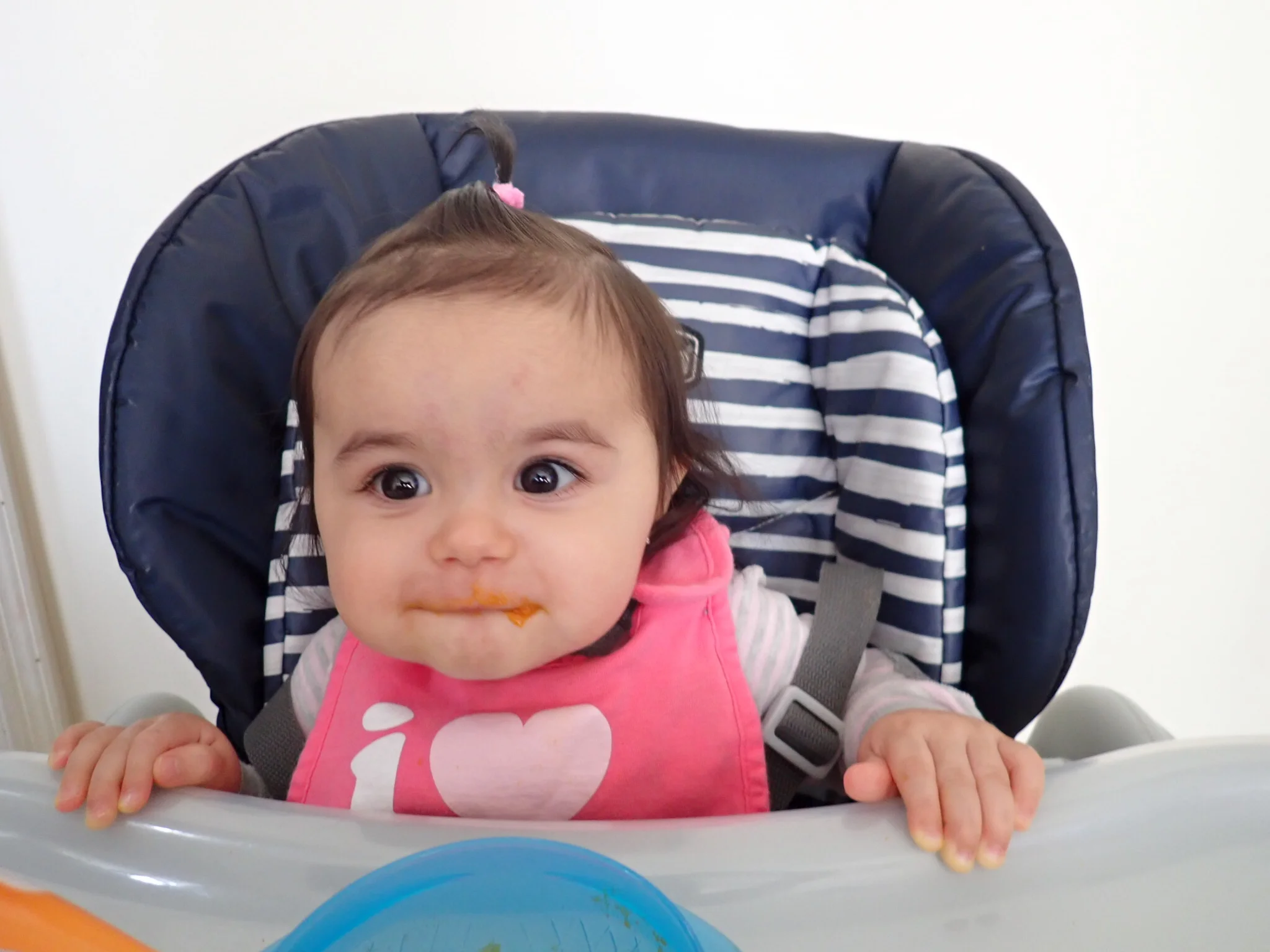 Baby Food (Just Like) Homemade