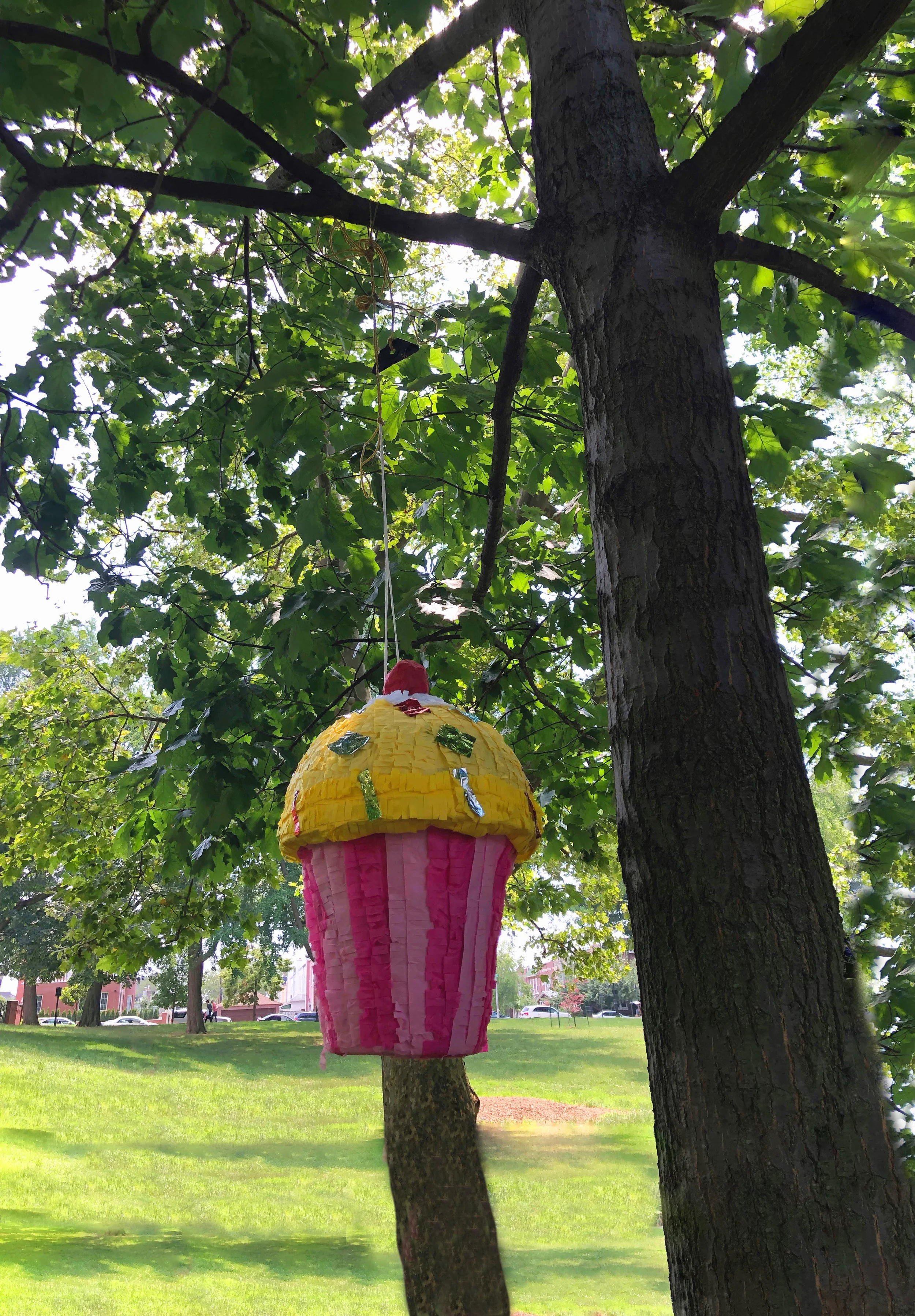 Cupcake Piñata.jpg