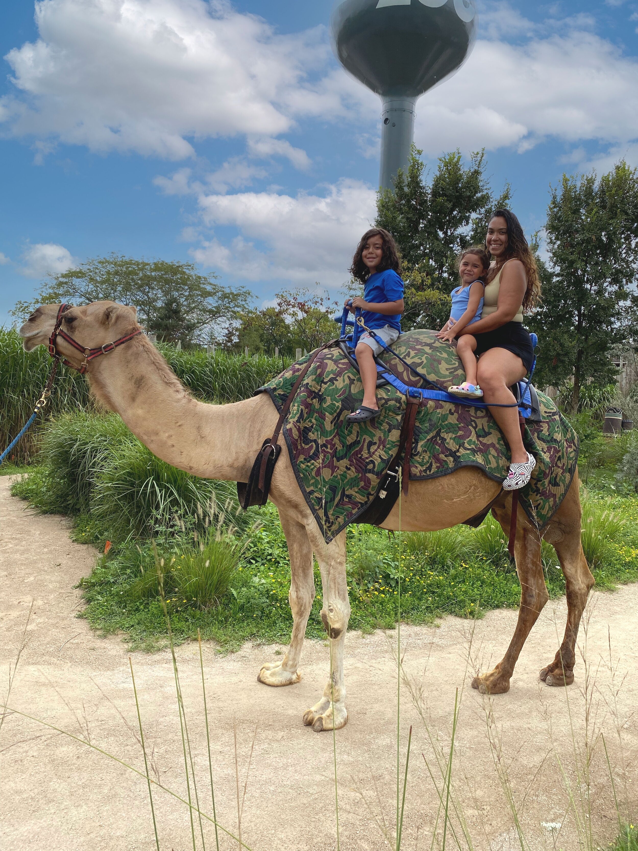 Columbus Zoo camel ride