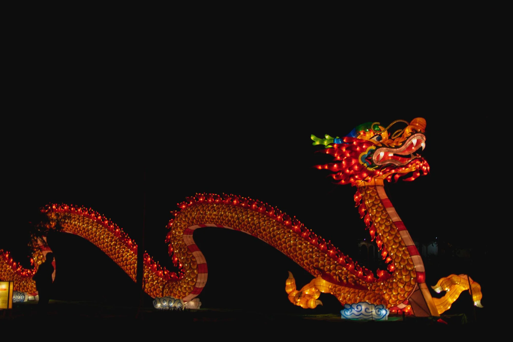 lantern dragon.jpg