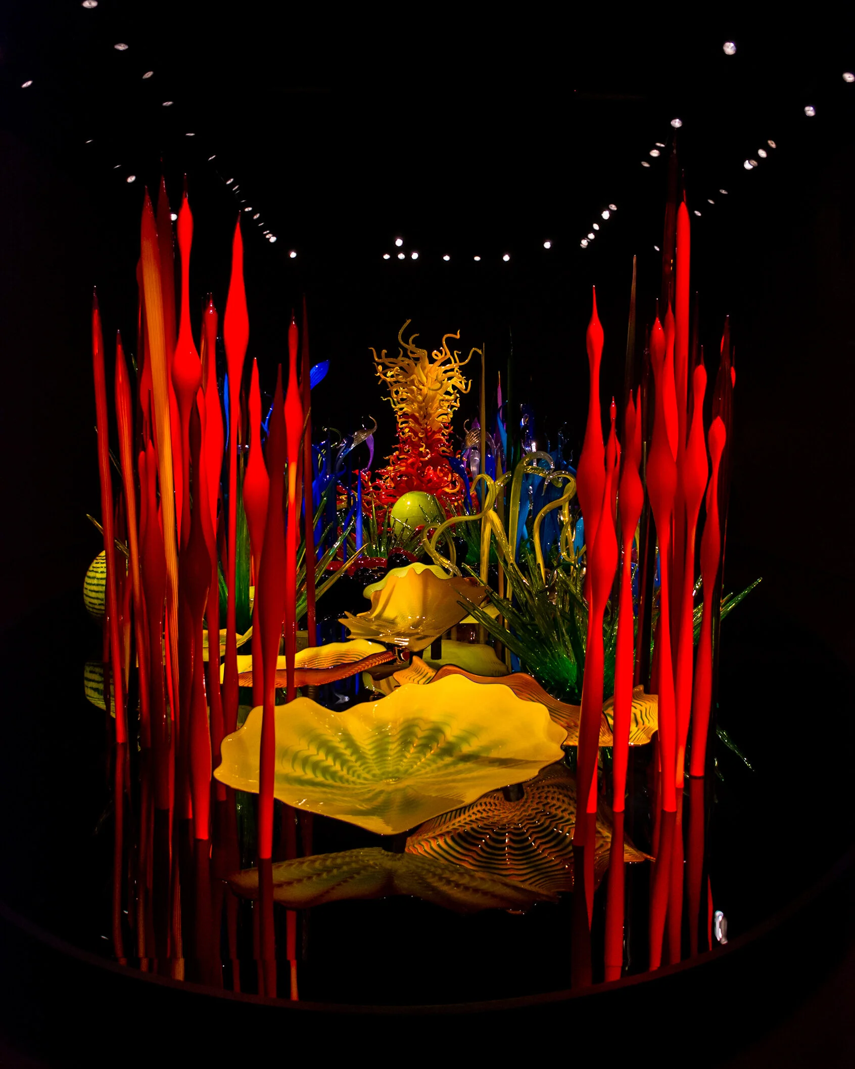 Chihuly Garden &amp; Glass