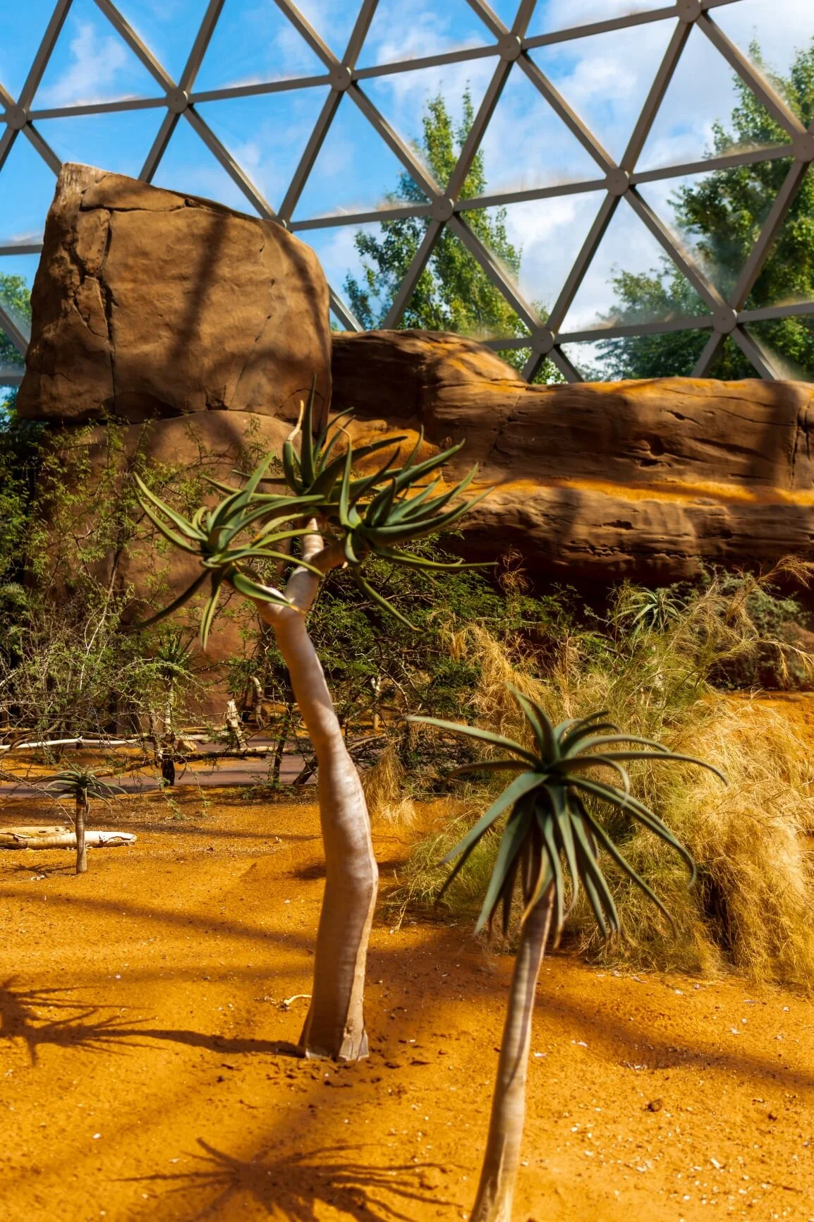 Omaha's Henry Doorly Zoo and Aquarium