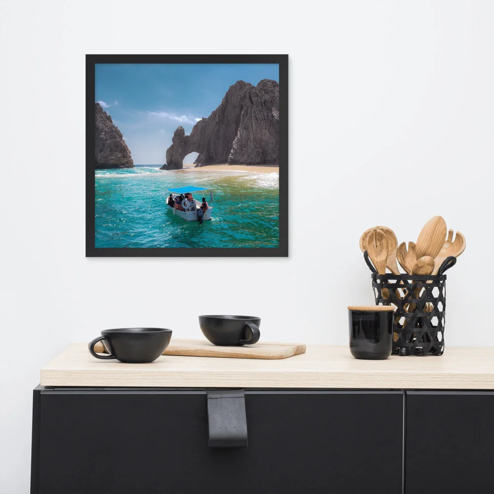 enhanced-matte-paper-framed-poster-(in)-black-16x16-front-60b6d02d5c4a8.jpg