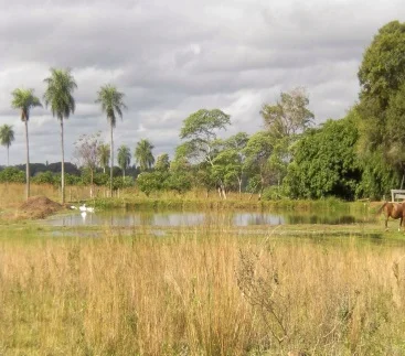 aboutscenery.jpg