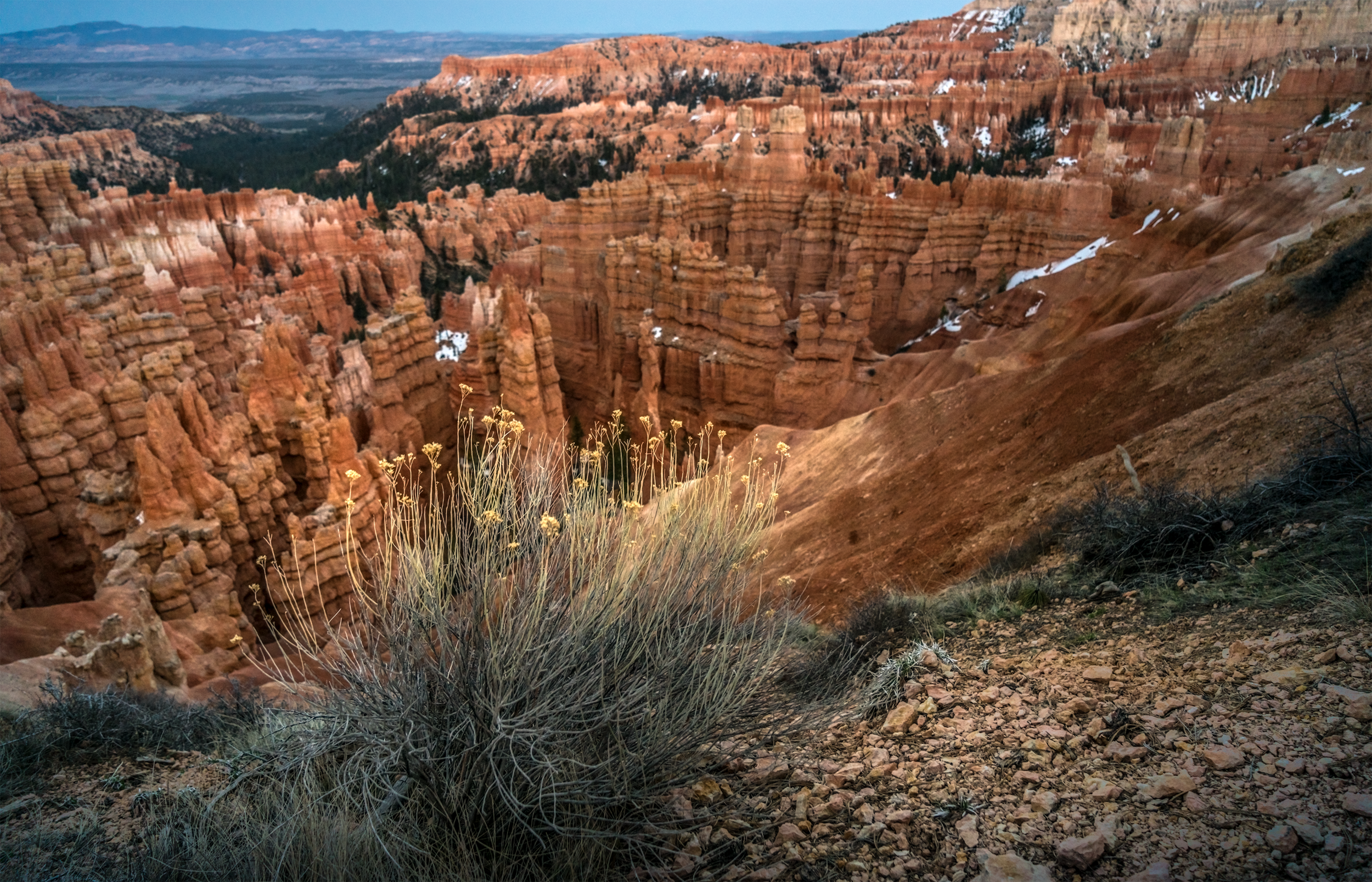 bryce_brycepoint3.png
