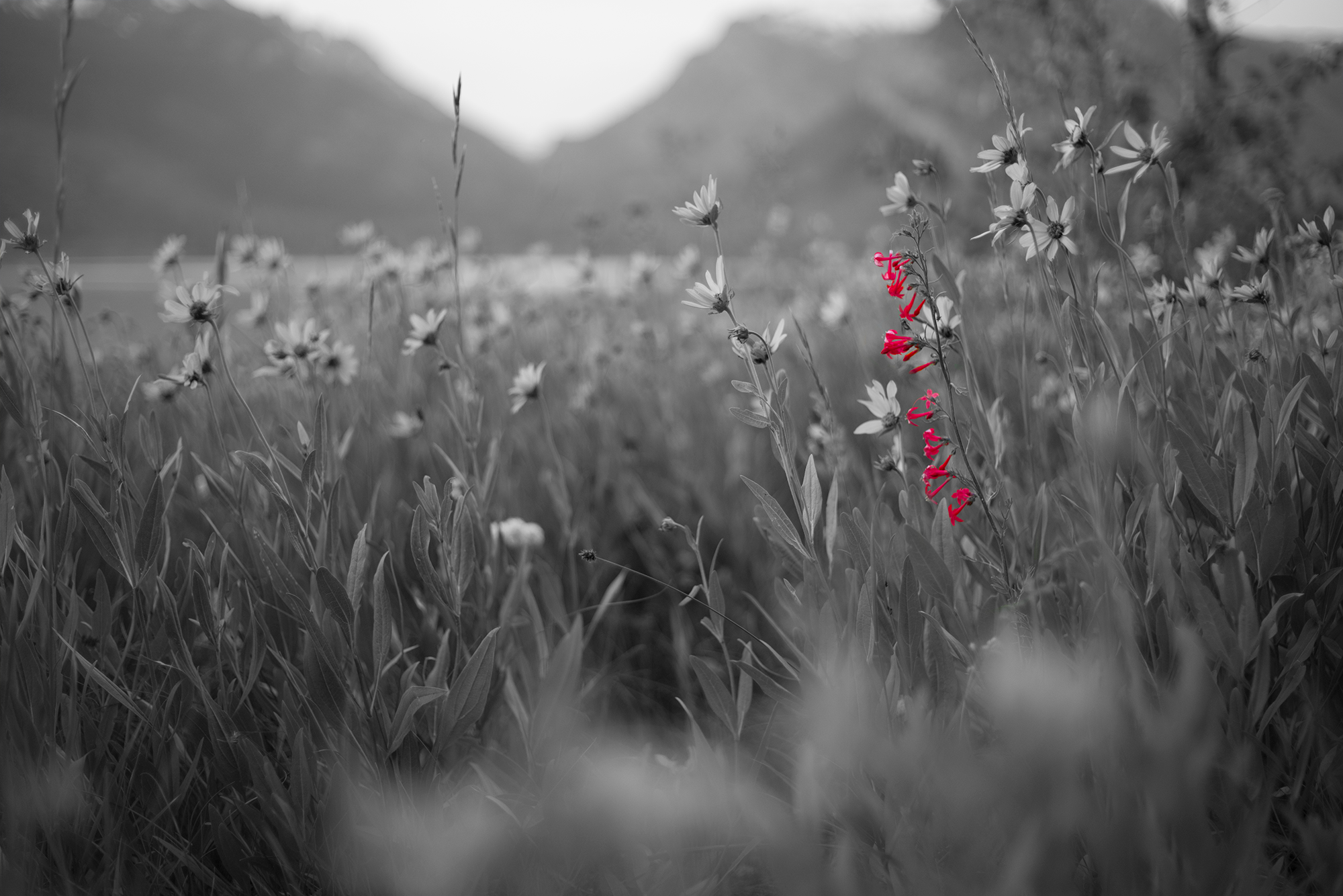 DSC01480-1.png