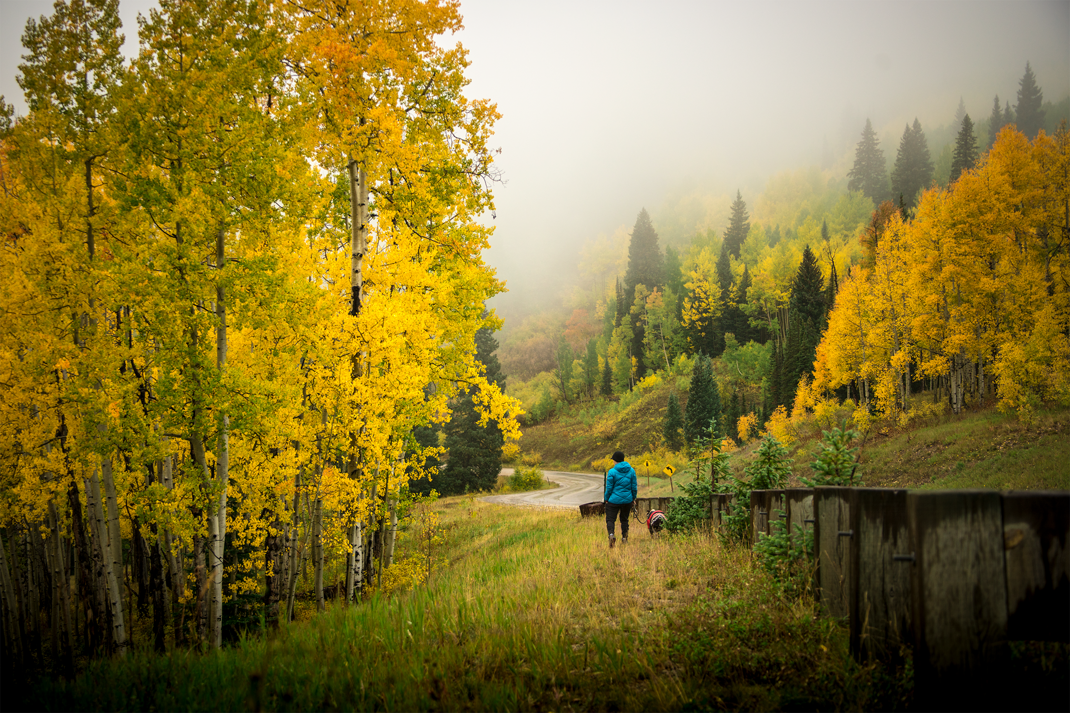 Kebler Pass, Crested Butte, CO | 2017