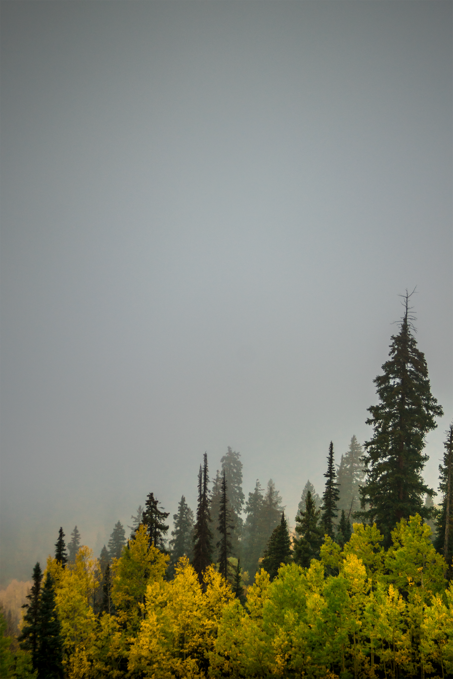 DSC04114-1.png