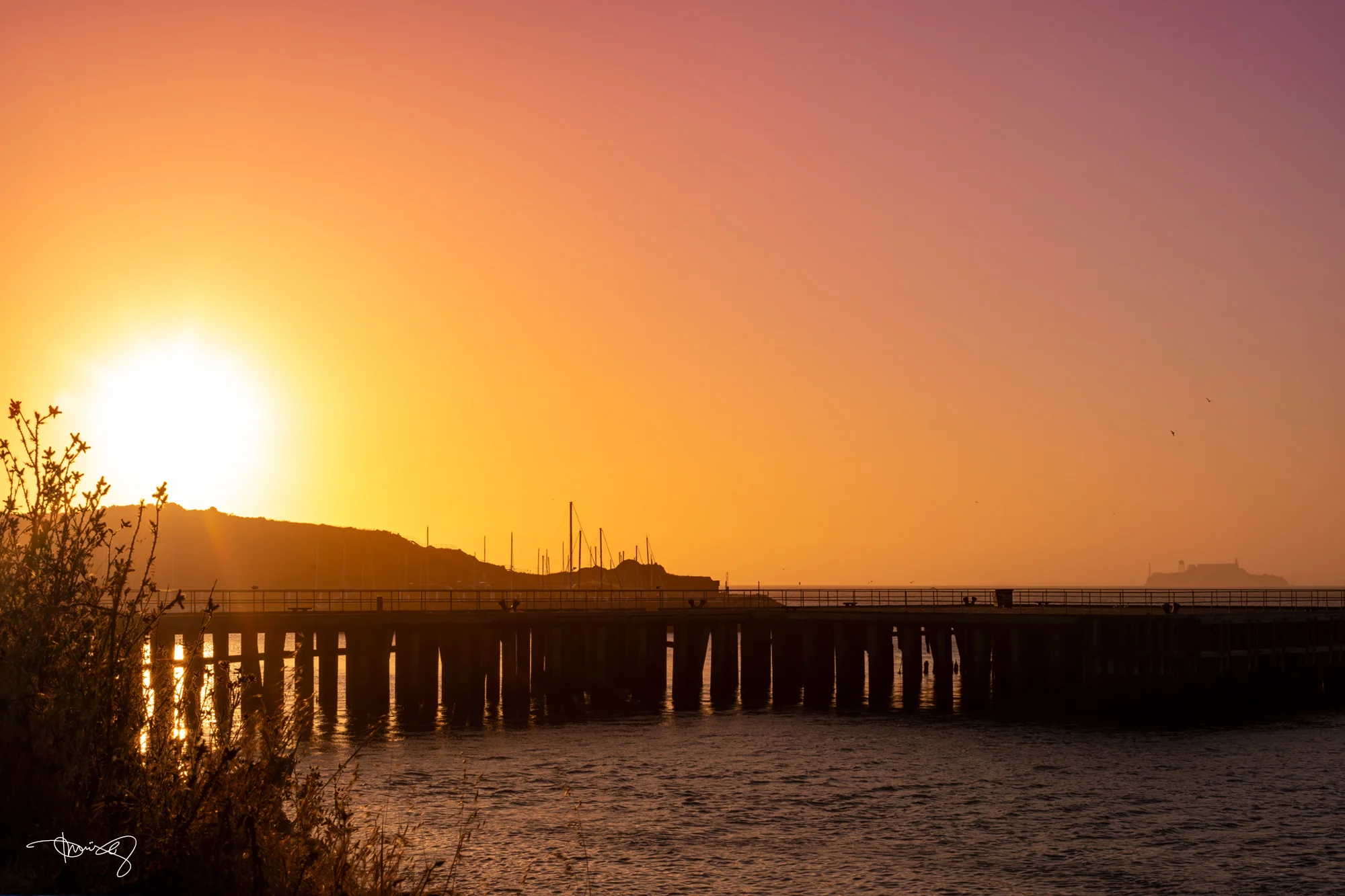 Golden Sun - 20"x30" Canvas