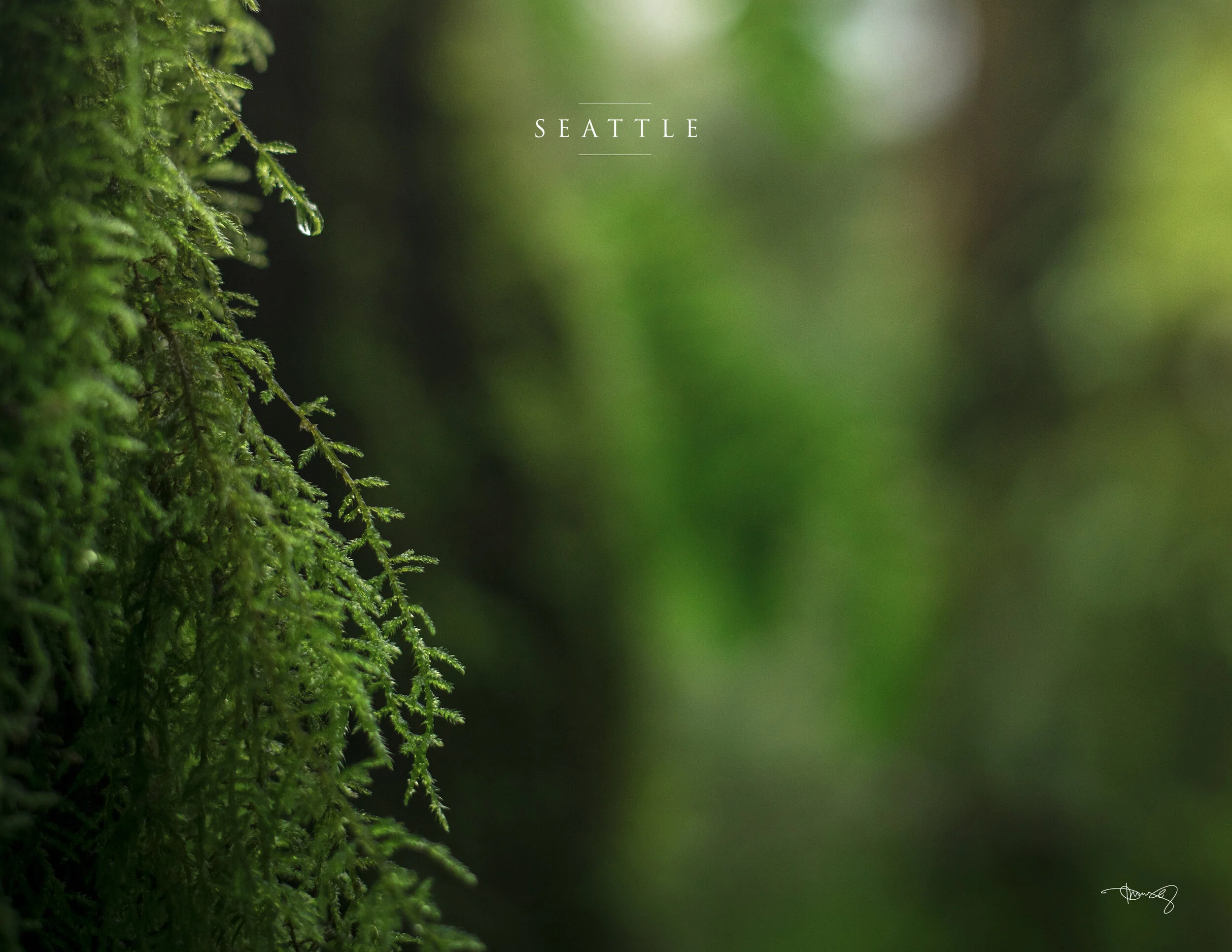 0003_April-Seattle.jpg