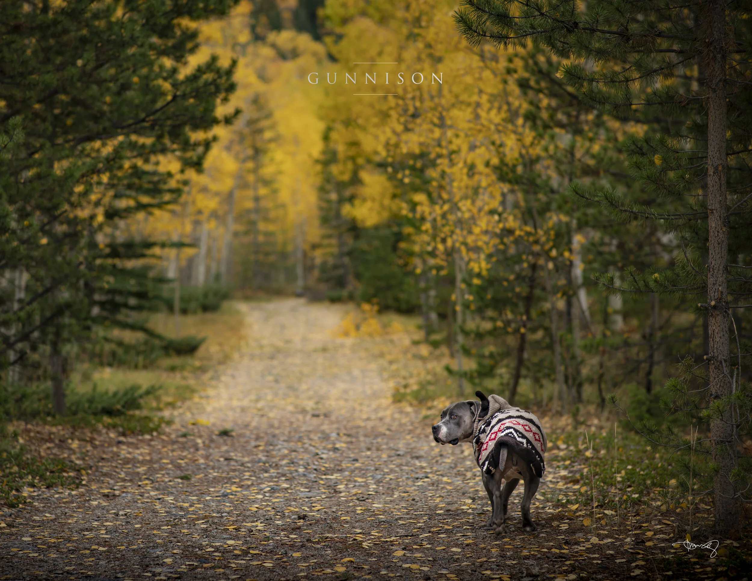 0010_November-Gunnison.jpg