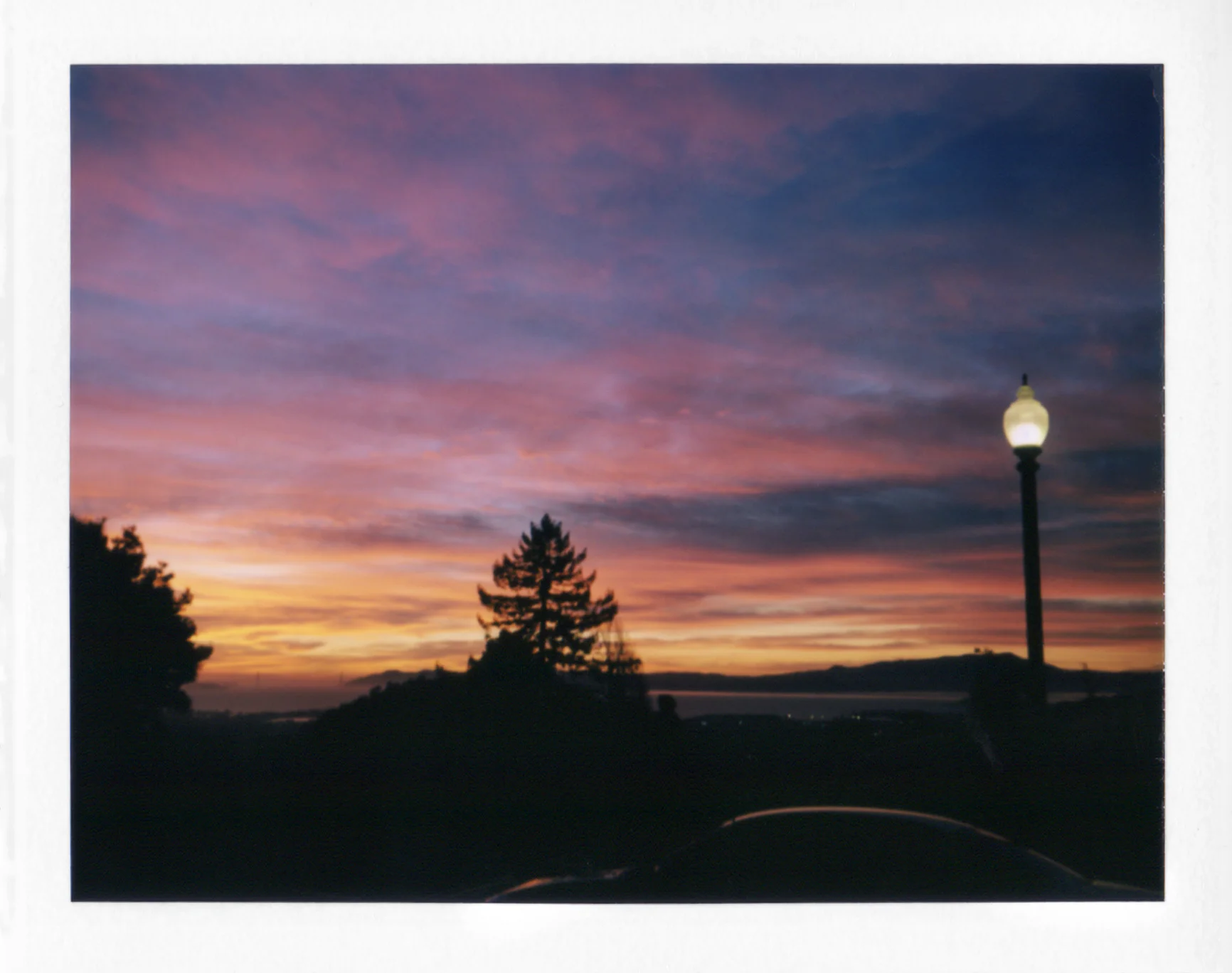 2011-12-19-BERKELEY-ROSE-G.jpg