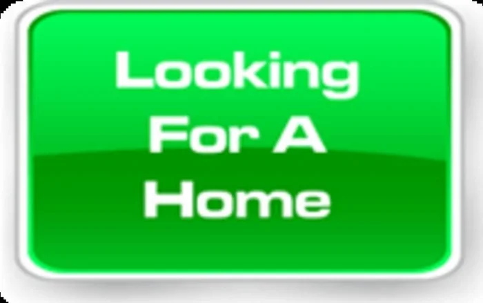 rent_in_bolton_371826.jpg
