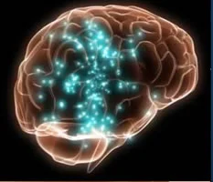 IMAGE - Illustration of the brain. Image courtesy brainsinternational.com