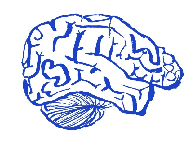 Indigo Mind // Celebrating the Work of Oliver Sacks