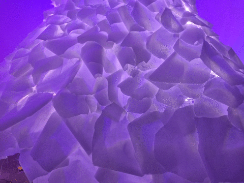 Sound + Consciousness