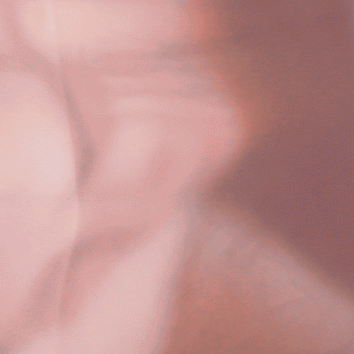 [past event]                                   CLIMAX // Night 3: RELEASE