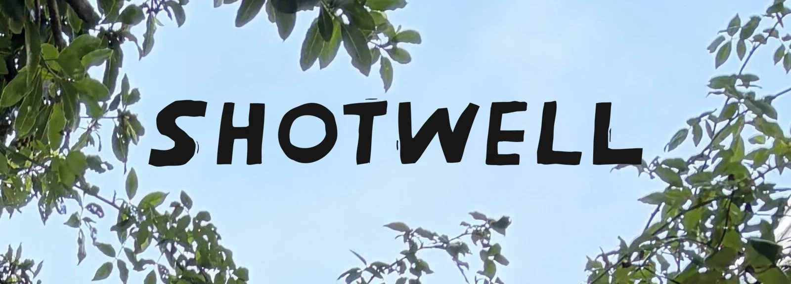 CALL FOR CONTRIBUTORS