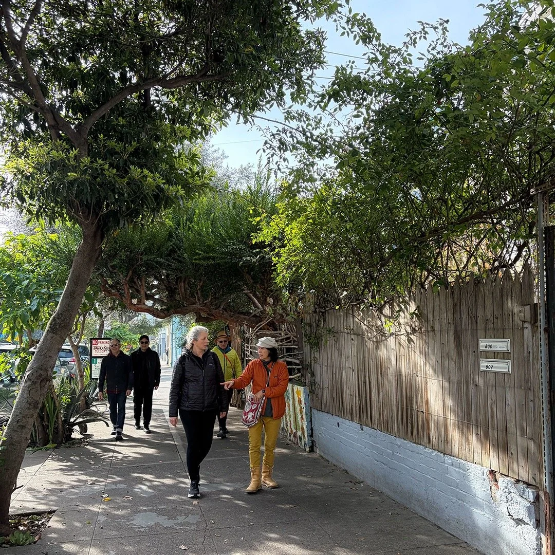 We've been busy ....
Walking and exploring on Shotwell Street, getting to know some new folks in the neighborhood.