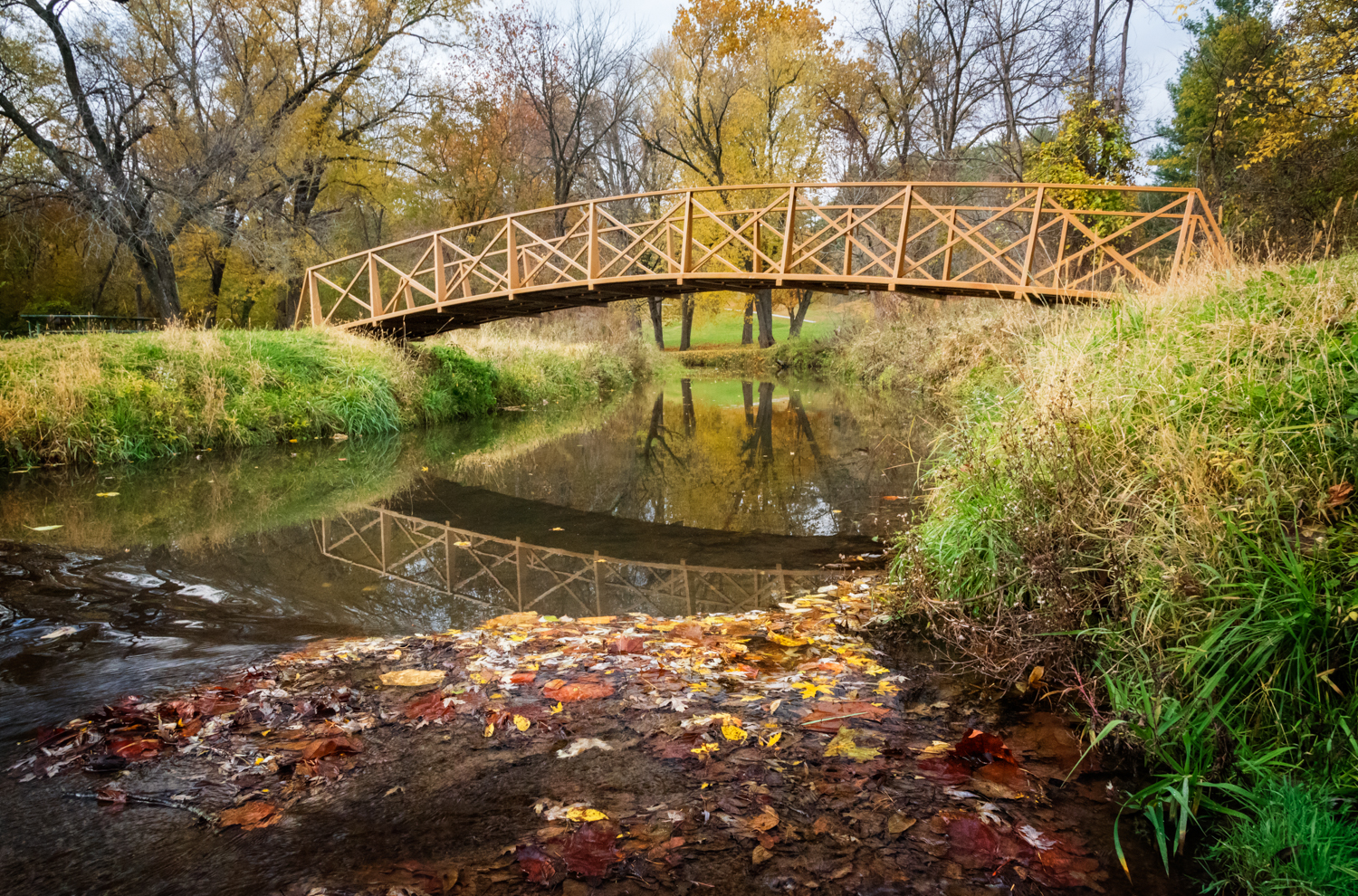 Landscape_151024_0108.jpg