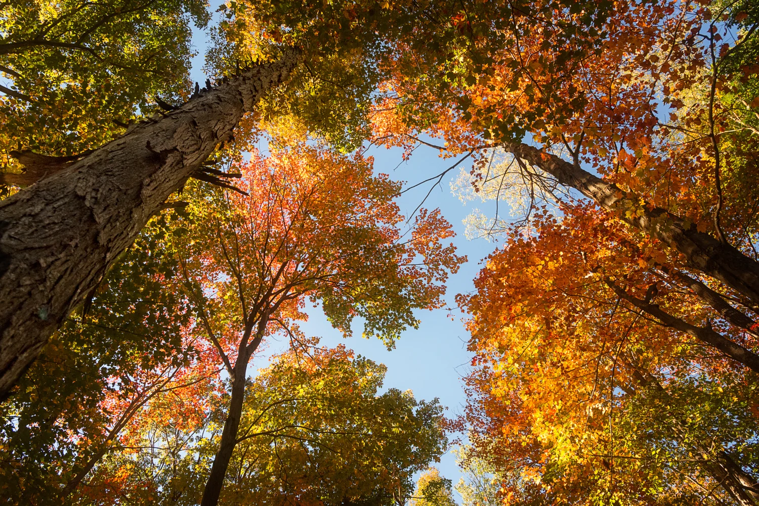 OhioPyle_151012_0162-2.jpg