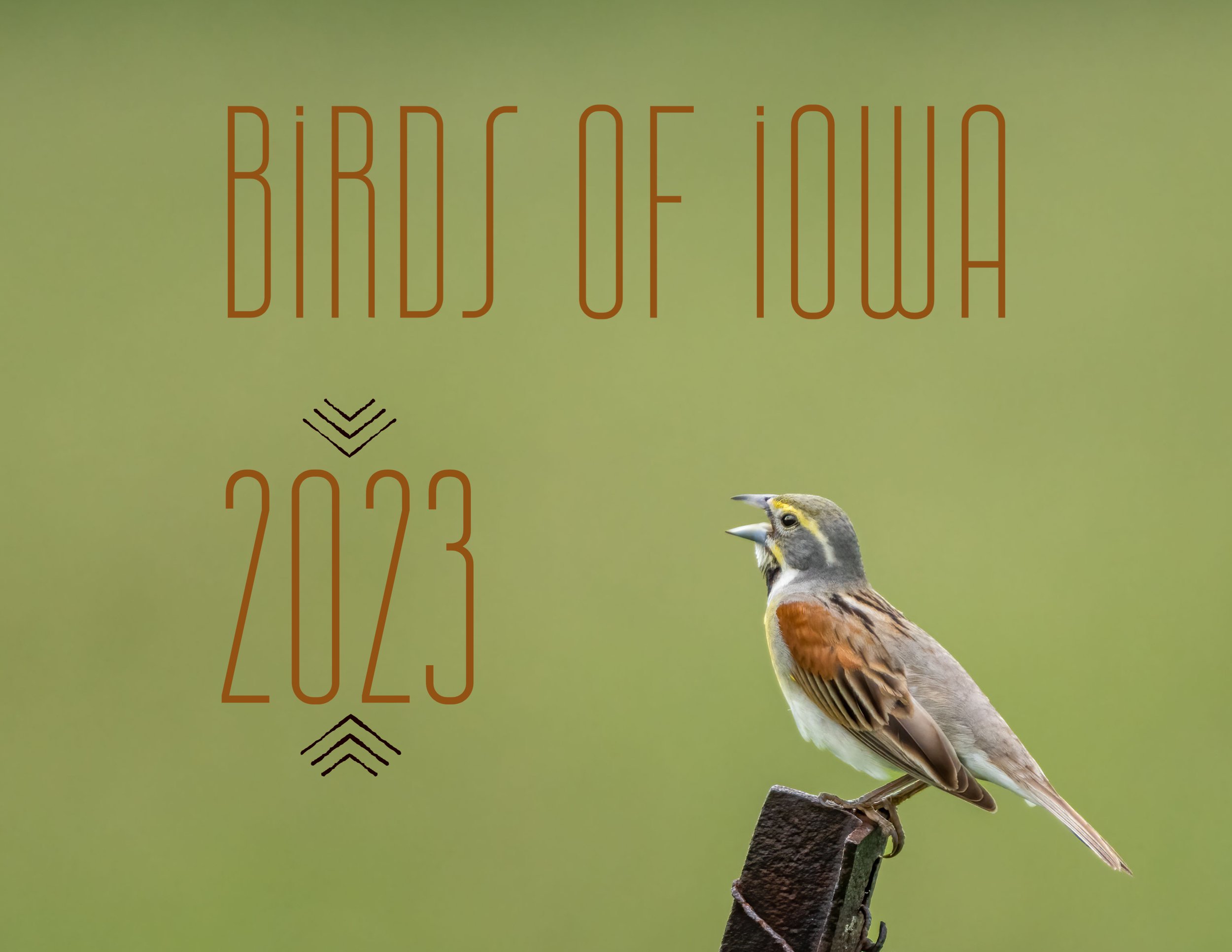 kim-pagel-photography-2023-iowa-bird-calendar