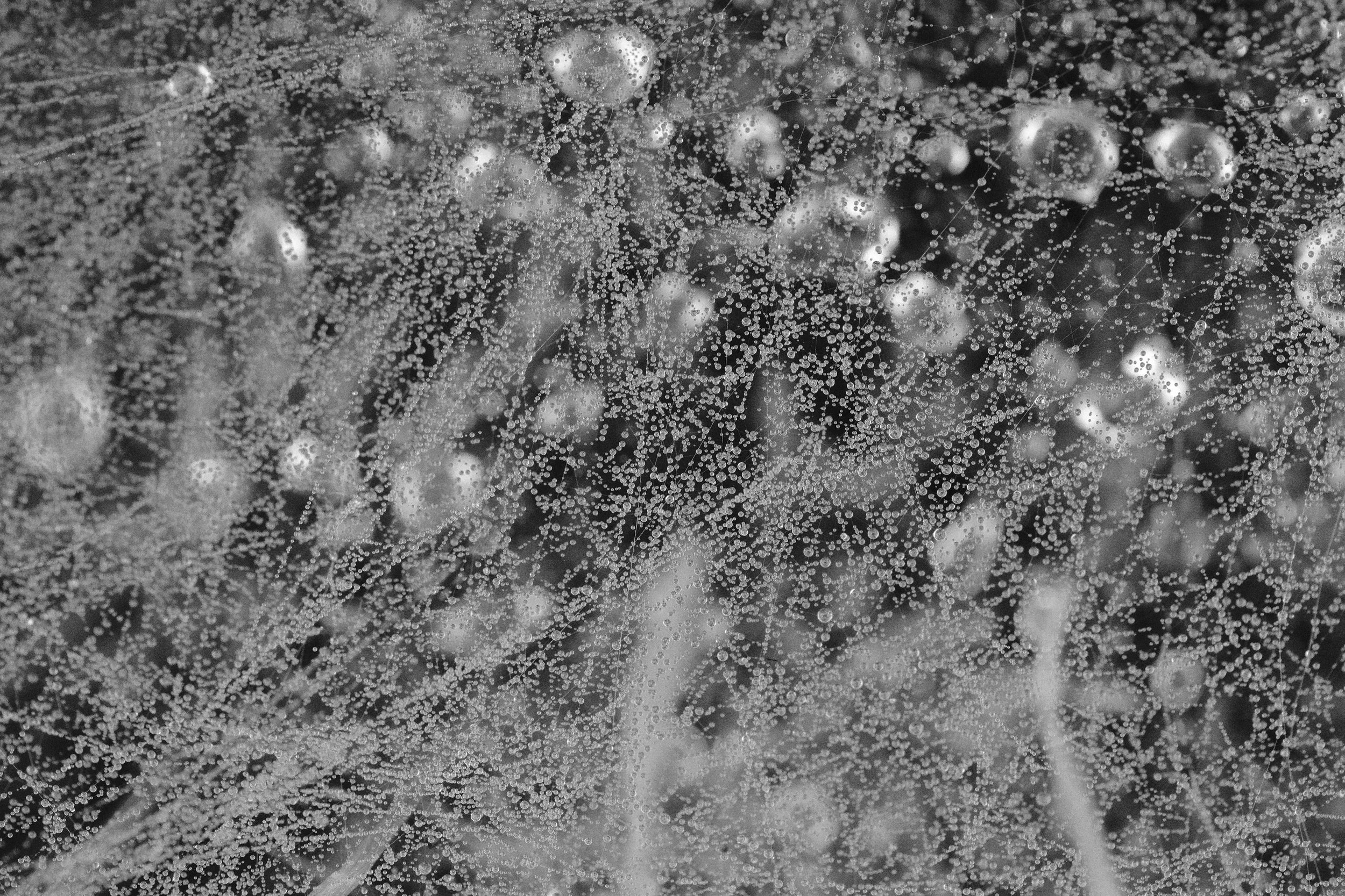 2018-01-06 14.06.14.jpg